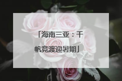 海南三亚：千帆竞渡迎暑期