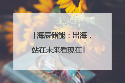 海辰储能：出海，站在未来看现在