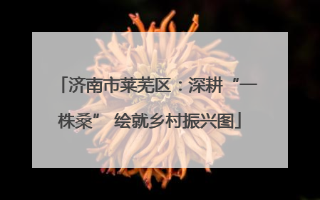 济南市莱芜区：深耕“一株桑” 绘就乡村振兴图