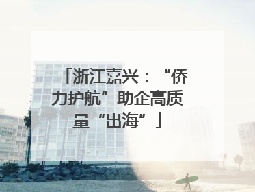 浙江嘉兴：“侨力护航”助企高质量“出海”