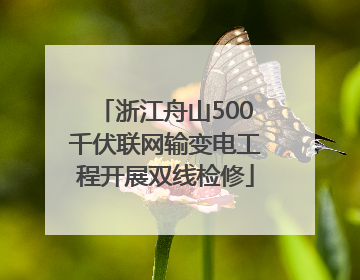 浙江舟山500千伏联网输变电工程开展双线检修