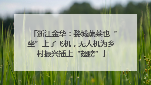 浙江金华：婺城蔬菜也“坐”上了飞机，无人机为乡村振兴插上“翅膀”
