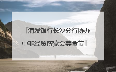 浦发银行长沙分行协办中非经贸博览会美食节