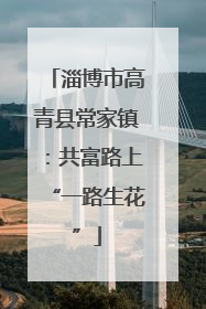 淄博市高青县常家镇：共富路上“一路生花”