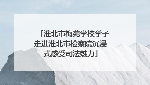 淮北市梅苑学校学子走进淮北市检察院沉浸式感受司法魅力