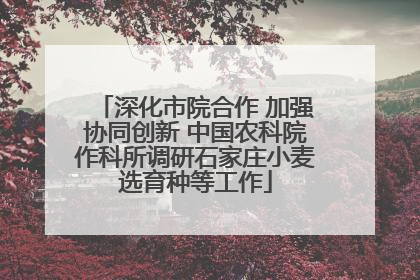 深化市院合作 加强协同创新 中国农科院作科所调研石家庄小麦选育种等工作