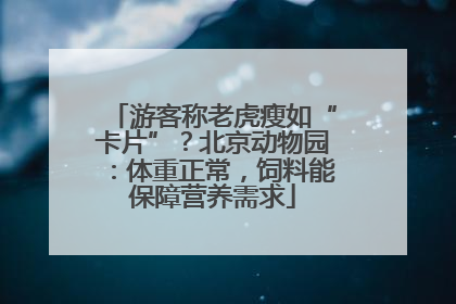 游客称老虎瘦如“卡片”？北京动物园：体重正常，饲料能保障营养需求