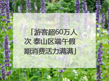 游客超60万人次 泰山区端午假期消费活力满满
