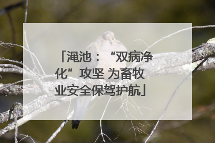 渑池：“双病净化”攻坚 为畜牧业安全保驾护航