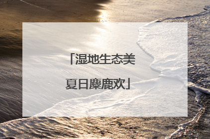 湿地生态美 夏日麋鹿欢