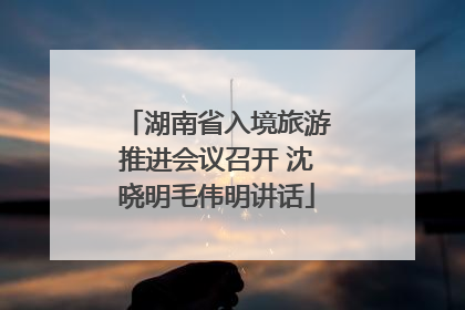湖南省入境旅游推进会议召开 沈晓明毛伟明讲话