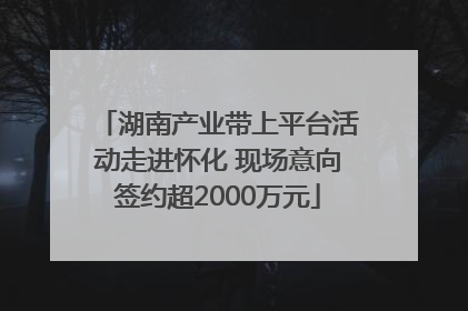 湖南产业带上平台活动走进怀化 现场意向签约超2000万元