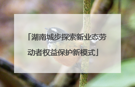湖南城步探索新业态劳动者权益保护新模式