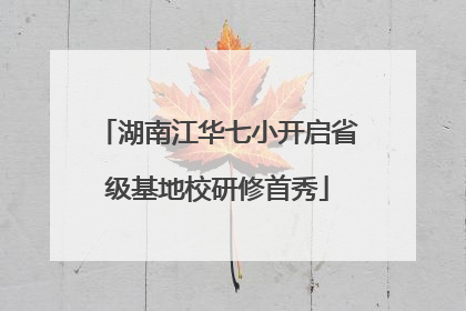 湖南江华七小开启省级基地校研修首秀