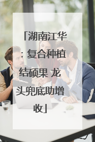 湖南江华：复合种植结硕果 龙头兜底助增收
