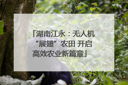 湖南江永：无人机“展翅”农田 开启高效农业新篇章