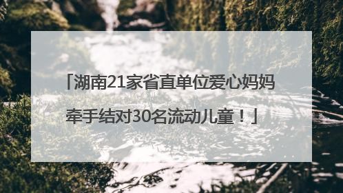 湖南21家省直单位爱心妈妈牵手结对30名流动儿童！