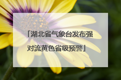 湖北省气象台发布强对流黄色省级预警