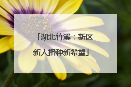 湖北竹溪：新区新人播种新希望