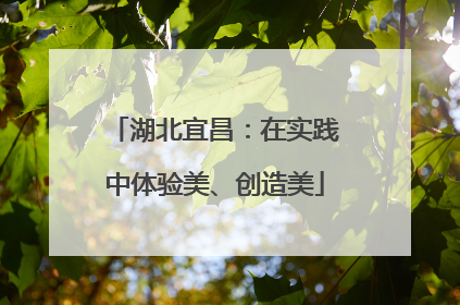 湖北宜昌：在实践中体验美、创造美