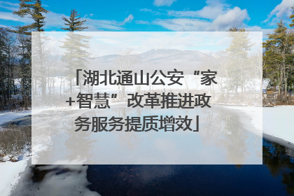 湖北通山公安“家+智慧”改革推进政务服务提质增效