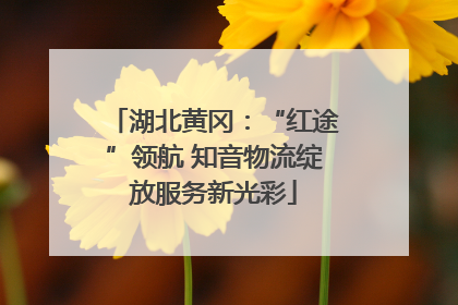 湖北黄冈：“红途”领航 知音物流绽放服务新光彩