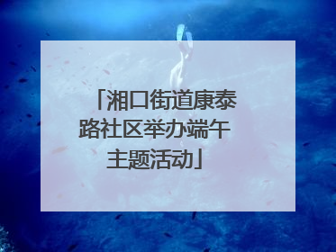 湘口街道康泰路社区举办端午主题活动