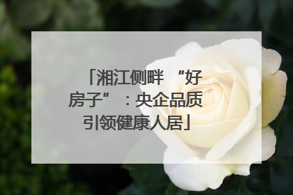 湘江侧畔 “好房子”：央企品质引领健康人居