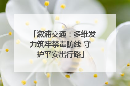 溆浦交通：多维发力筑牢禁毒防线 守护平安出行路