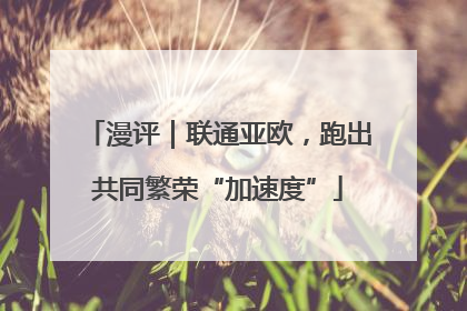 漫评｜联通亚欧，跑出共同繁荣“加速度”