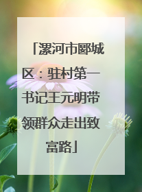 漯河市郾城区：驻村第一书记王元明带领群众走出致富路