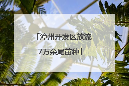 漳州开发区放流7万余尾苗种