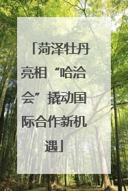 菏泽牡丹亮相“哈洽会”撬动国际合作新机遇