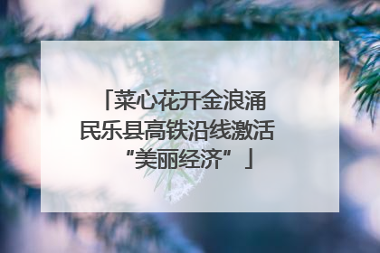 菜心花开金浪涌 民乐县高铁沿线激活“美丽经济”
