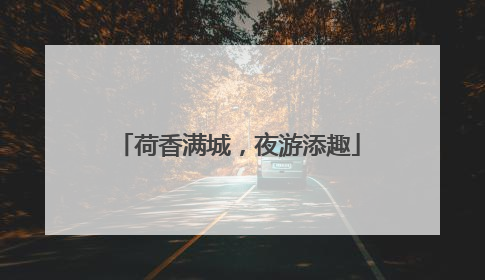 荷香满城，夜游添趣