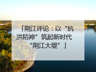 荆江评论：以“抗洪精神”筑起新时代“荆江大堤”
