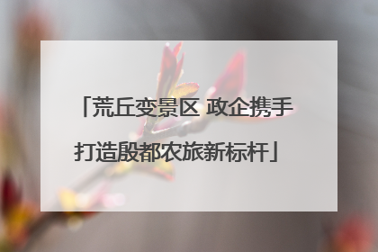 荒丘变景区 政企携手打造殷都农旅新标杆