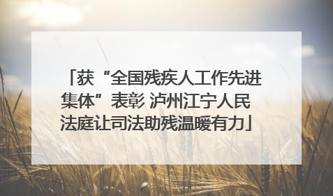 获“全国残疾人工作先进集体”表彰 泸州江宁人民法庭让司法助残温暖有力