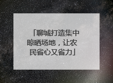 聊城打造集中晾晒场地，让农民省心又省力