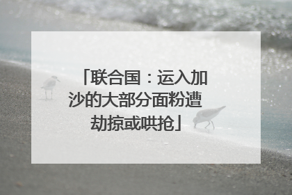 联合国：运入加沙的大部分面粉遭劫掠或哄抢