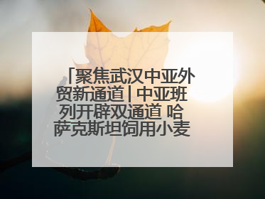 聚焦武汉中亚外贸新通道│中亚班列开辟双通道 哈萨克斯坦饲用小麦将抵鄂