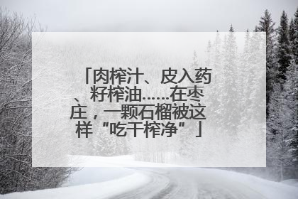 肉榨汁、皮入药、籽榨油……在枣庄，一颗石榴被这样“吃干榨净”