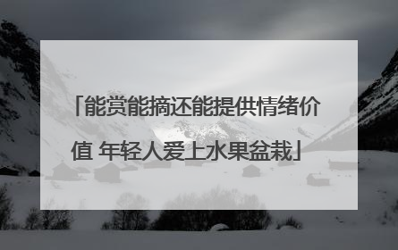 能赏能摘还能提供情绪价值 年轻人爱上水果盆栽
