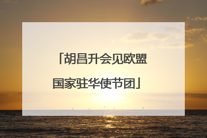 胡昌升会见欧盟国家驻华使节团