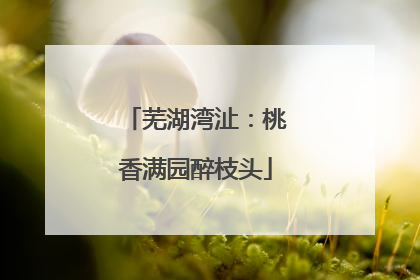 芜湖湾沚：桃香满园醉枝头