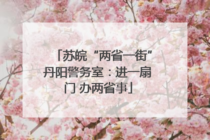 苏皖“两省一街”丹阳警务室：进一扇门 办两省事