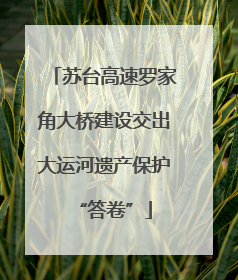 苏台高速罗家角大桥建设交出大运河遗产保护“答卷”