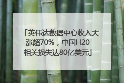 英伟达数据中心收入大涨超70%，中国H20相关损失达80亿美元