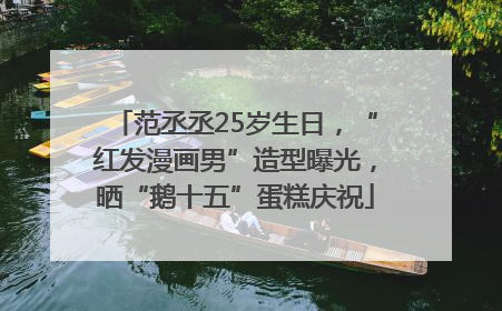 范丞丞25岁生日，“红发漫画男”造型曝光，晒“鹅十五”蛋糕庆祝