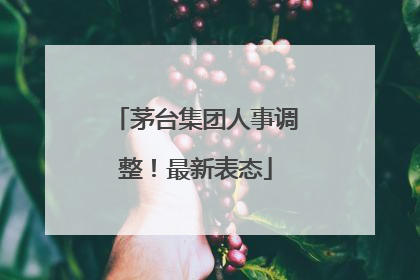 茅台集团人事调整！最新表态